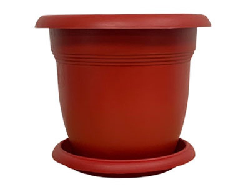 Rainbow Decorative Flower Pot Series