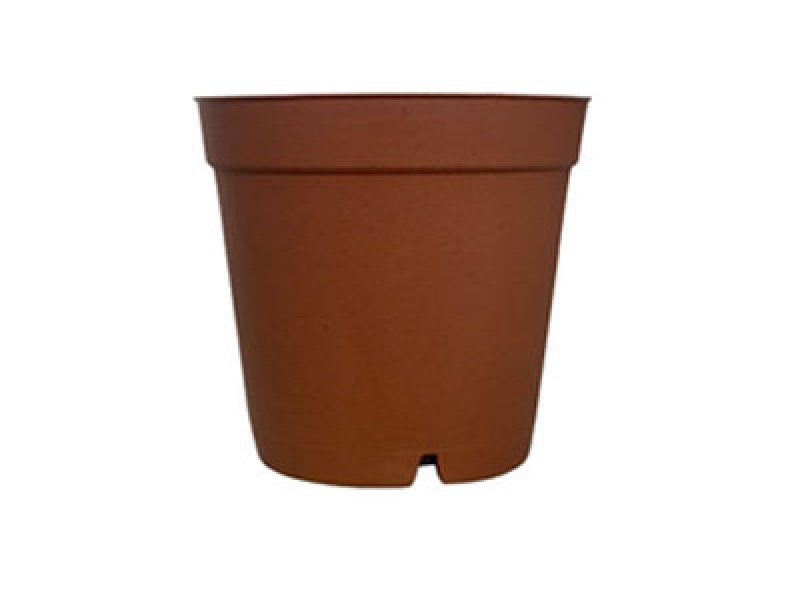 Cactus Pot Series