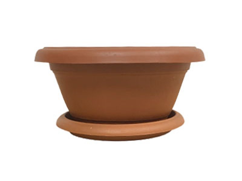 Terracotta Violet Flower Pot Series