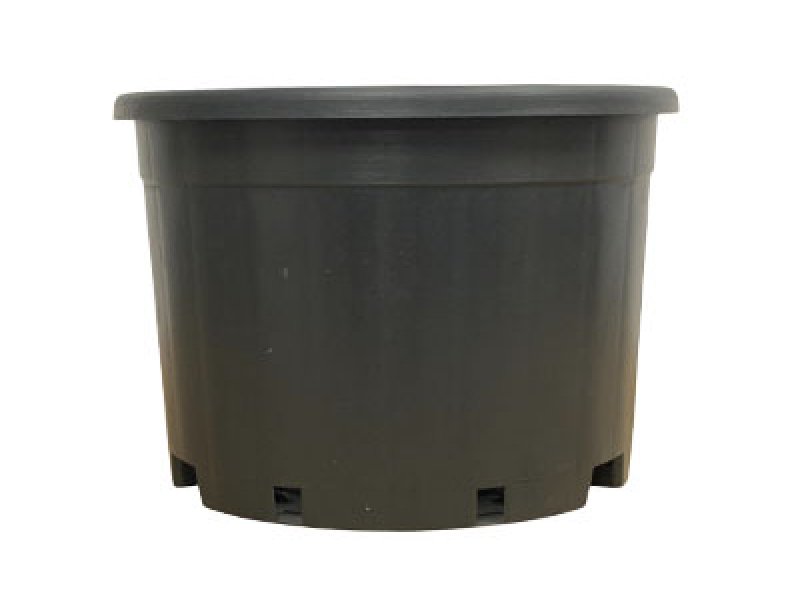 Dwarf Production Pot Series
